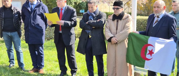 WhatsApp Image 2026-03-19 at 13.23.38