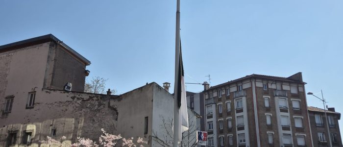 WhatsApp Image 2026-03-19 at 13.23.45 (1)