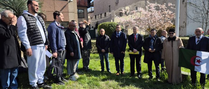 WhatsApp Image 2026-03-19 at 13.23.45 (3)