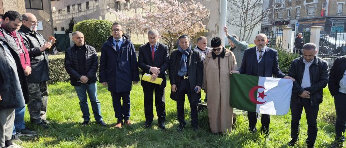 WhatsApp Image 2026-03-19 at 13.23.45 (5)