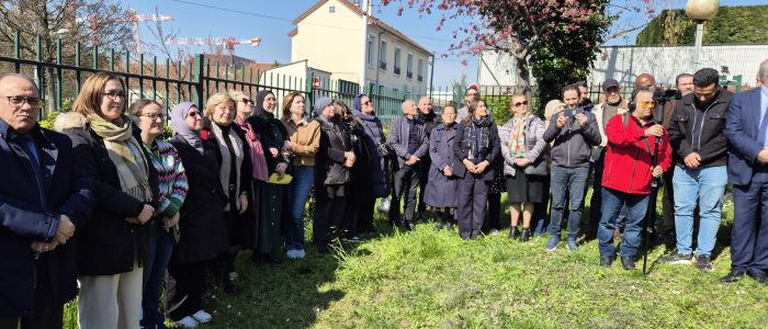 WhatsApp Image 2026-03-19 at 13.23.45