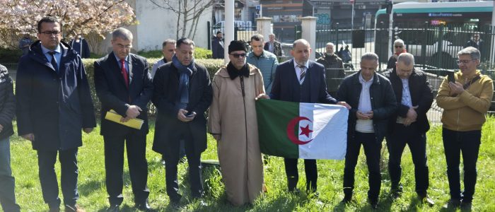 WhatsApp Image 2026-03-19 at 13.23.45 (9)