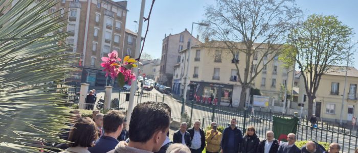 WhatsApp Image 2026-03-19 at 13.23.46 (2)